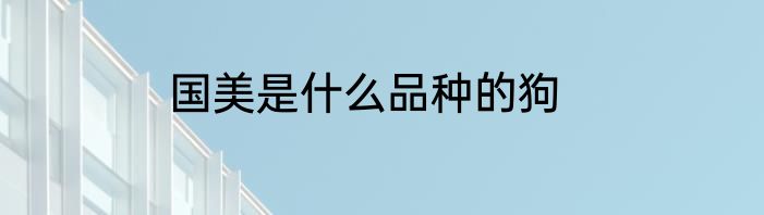 国美是什么品种的狗