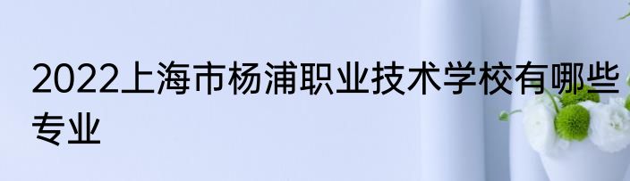 2022上海市杨浦职业技术学校有哪些专业
