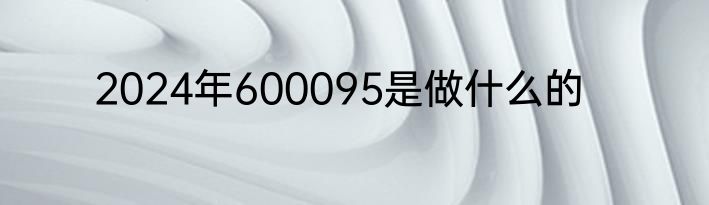 2024年600095是做什么的