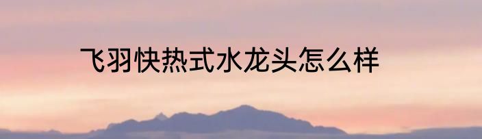 飞羽快热式水龙头怎么样