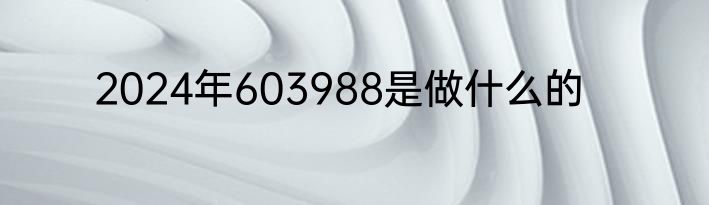 2024年603988是做什么的