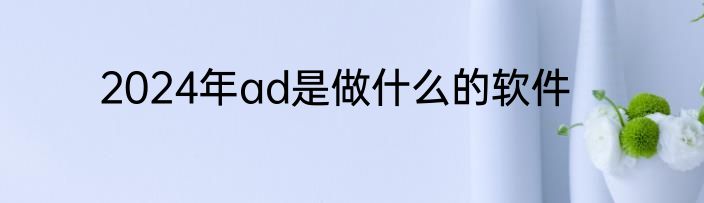 2024年ad是做什么的软件