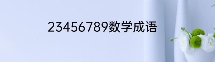 23456789数学成语