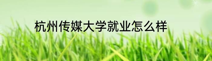 杭州传媒大学就业怎么样