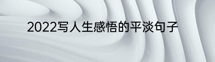 2022写人生感悟的平淡句子