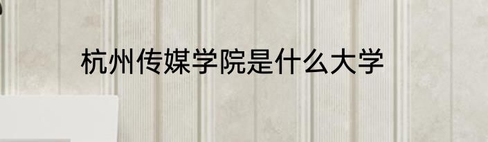 杭州传媒学院是什么大学