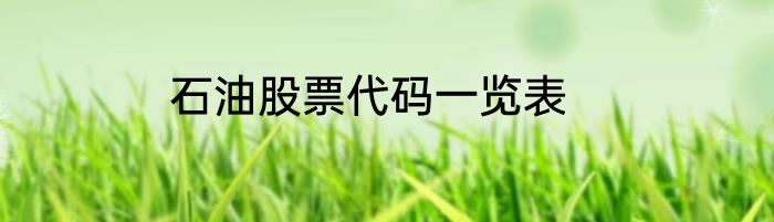 石油股票代码一览表