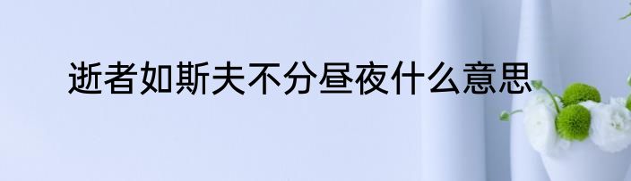 逝者如斯夫不分昼夜什么意思