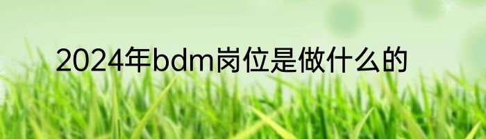 2024年bdm岗位是做什么的