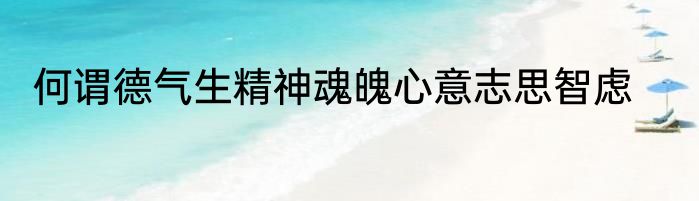 何谓德气生精神魂魄心意志思智虑