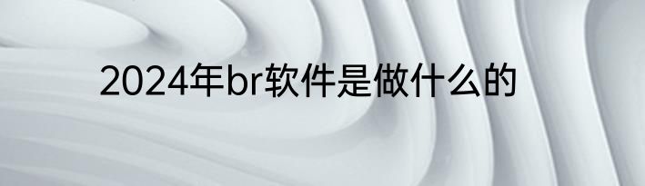 2024年br软件是做什么的