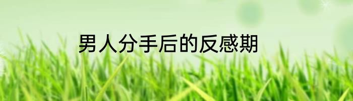 男人分手后的反感期