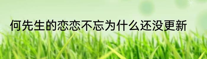 何先生的恋恋不忘为什么还没更新