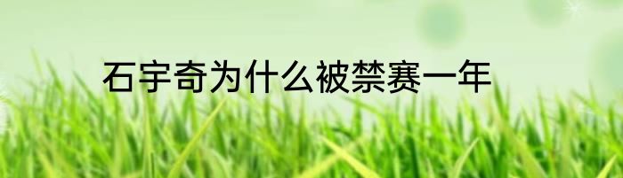 石宇奇为什么被禁赛一年