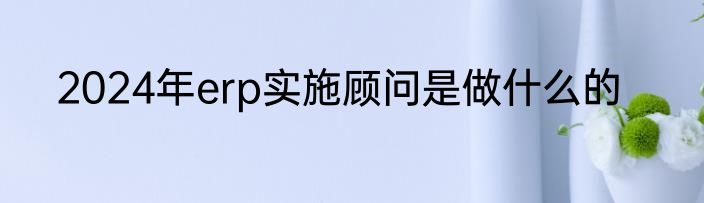 2024年erp实施顾问是做什么的