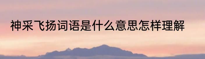 神采飞扬词语是什么意思怎样理解