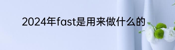 2024年fast是用来做什么的