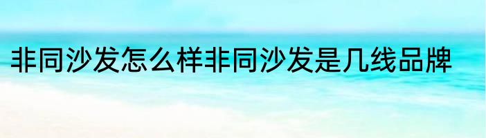 非同沙发怎么样非同沙发是几线品牌
