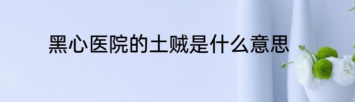 黑心医院的土贼是什么意思