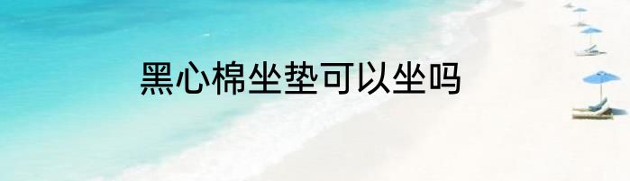 黑心棉坐垫可以坐吗