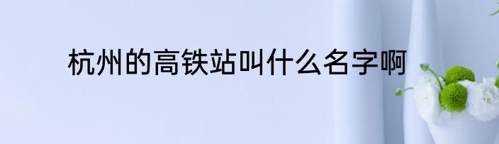 杭州的高铁站叫什么名字啊