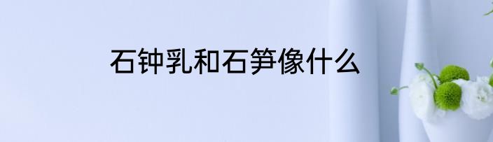 石钟乳和石笋像什么