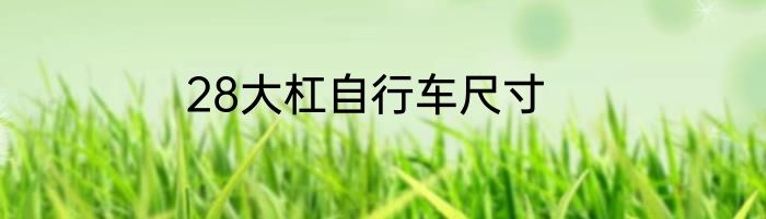 28大杠自行车尺寸