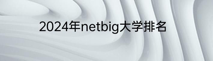 2024年netbig大学排名