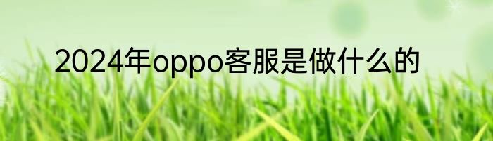 2024年oppo客服是做什么的