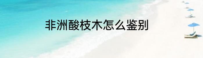 非洲酸枝木怎么鉴别