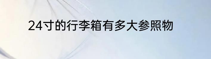 24寸的行李箱有多大参照物