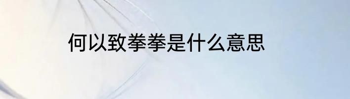 何以致拳拳是什么意思