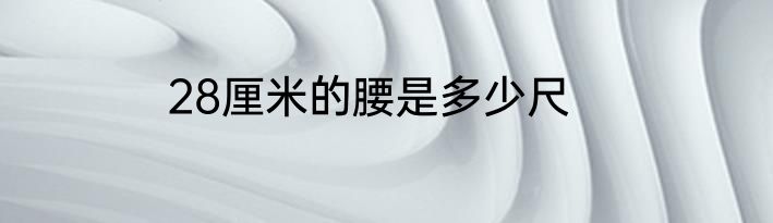 28厘米的腰是多少尺