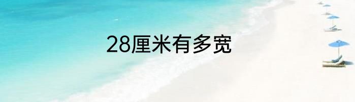 28厘米有多宽