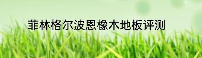 菲林格尔波恩橡木地板评测