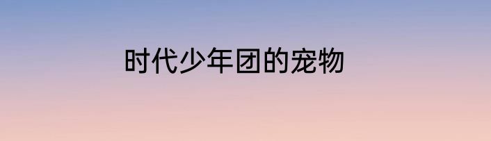 时代少年团的宠物