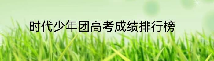 时代少年团高考成绩排行榜