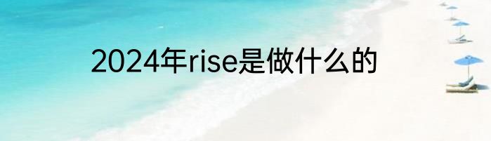2024年rise是做什么的