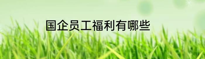国企员工福利有哪些
