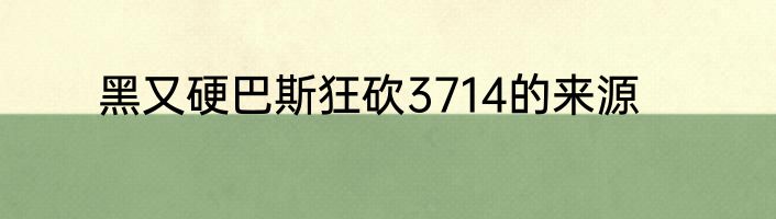 黑又硬巴斯狂砍3714的来源