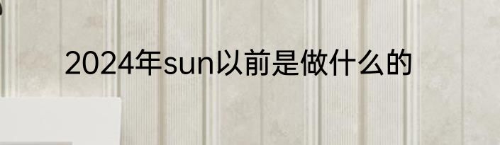 2024年sun以前是做什么的