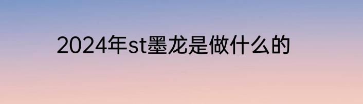 2024年st墨龙是做什么的
