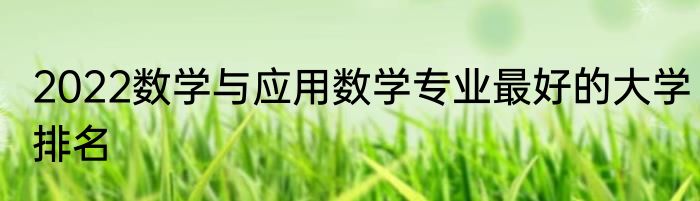2022数学与应用数学专业最好的大学排名