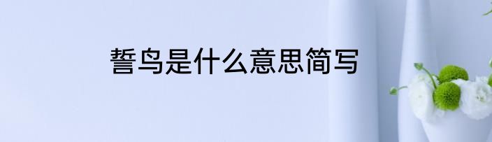 誓鸟是什么意思简写