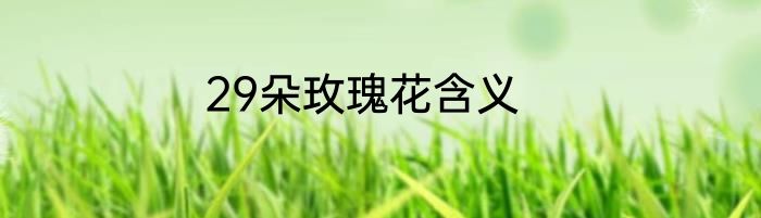 29朵玫瑰花含义
