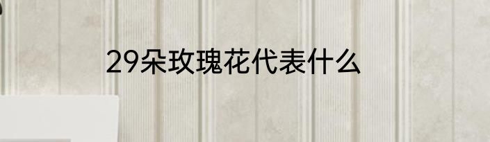 29朵玫瑰花代表什么