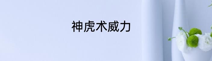 神虎术威力