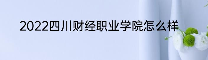 2022四川财经职业学院怎么样