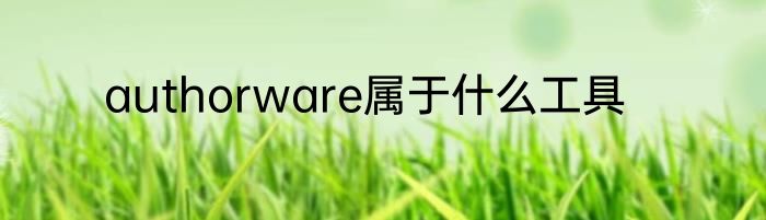 authorware属于什么工具