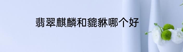 翡翠麒麟和貔貅哪个好